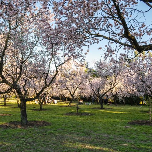 Primavera en Madrid: sitios para comer y disfrutar del paisaje