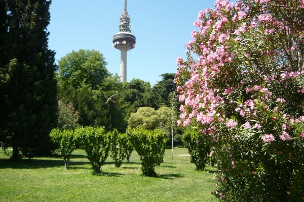 6 DESCONOCIDOS PARQUES DE MADRID QUE MERECEN LA PENA PASEAR