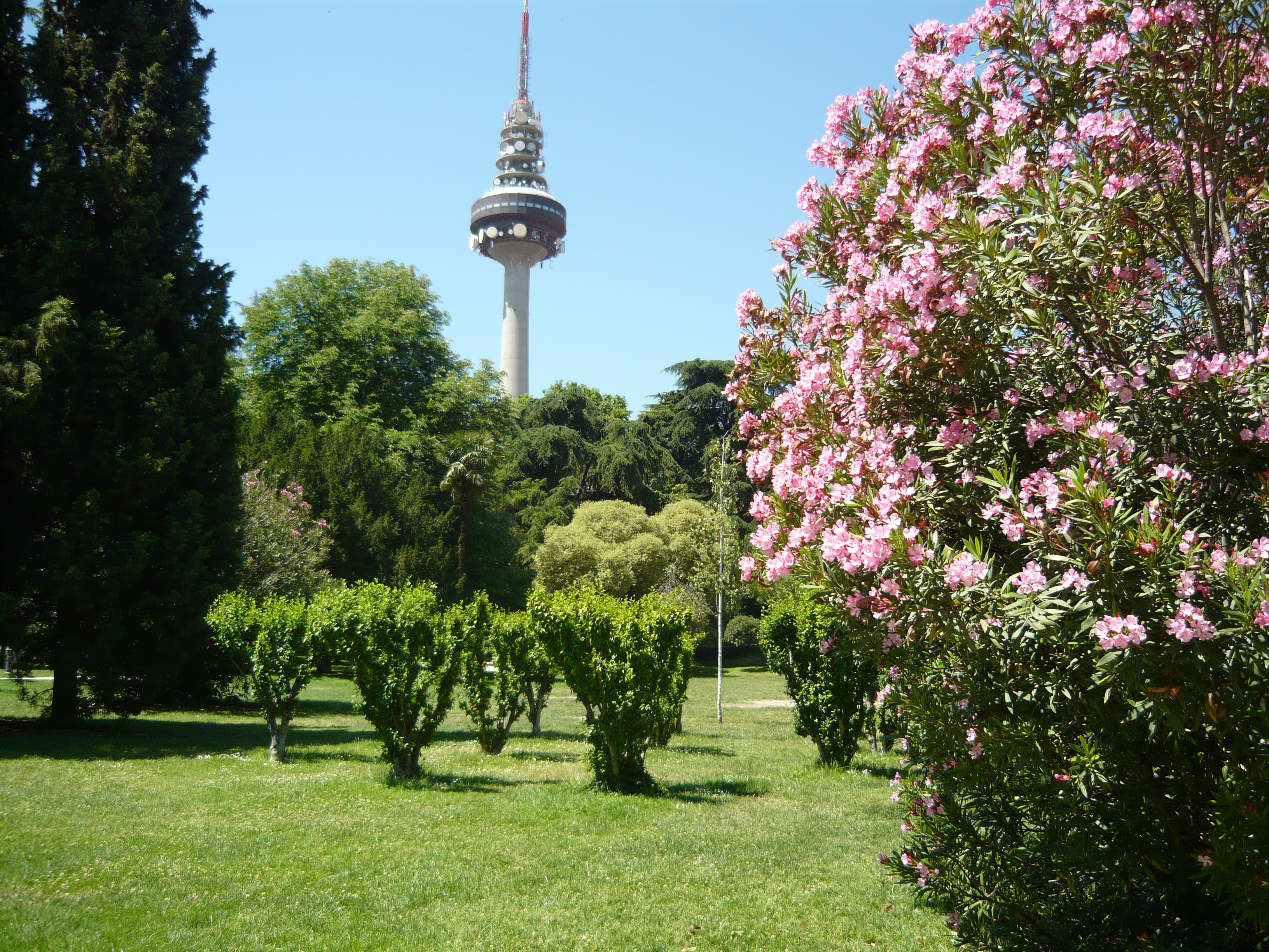 6 DESCONOCIDOS PARQUES DE MADRID QUE MERECEN LA PENA PASEAR - Saborea Madrid