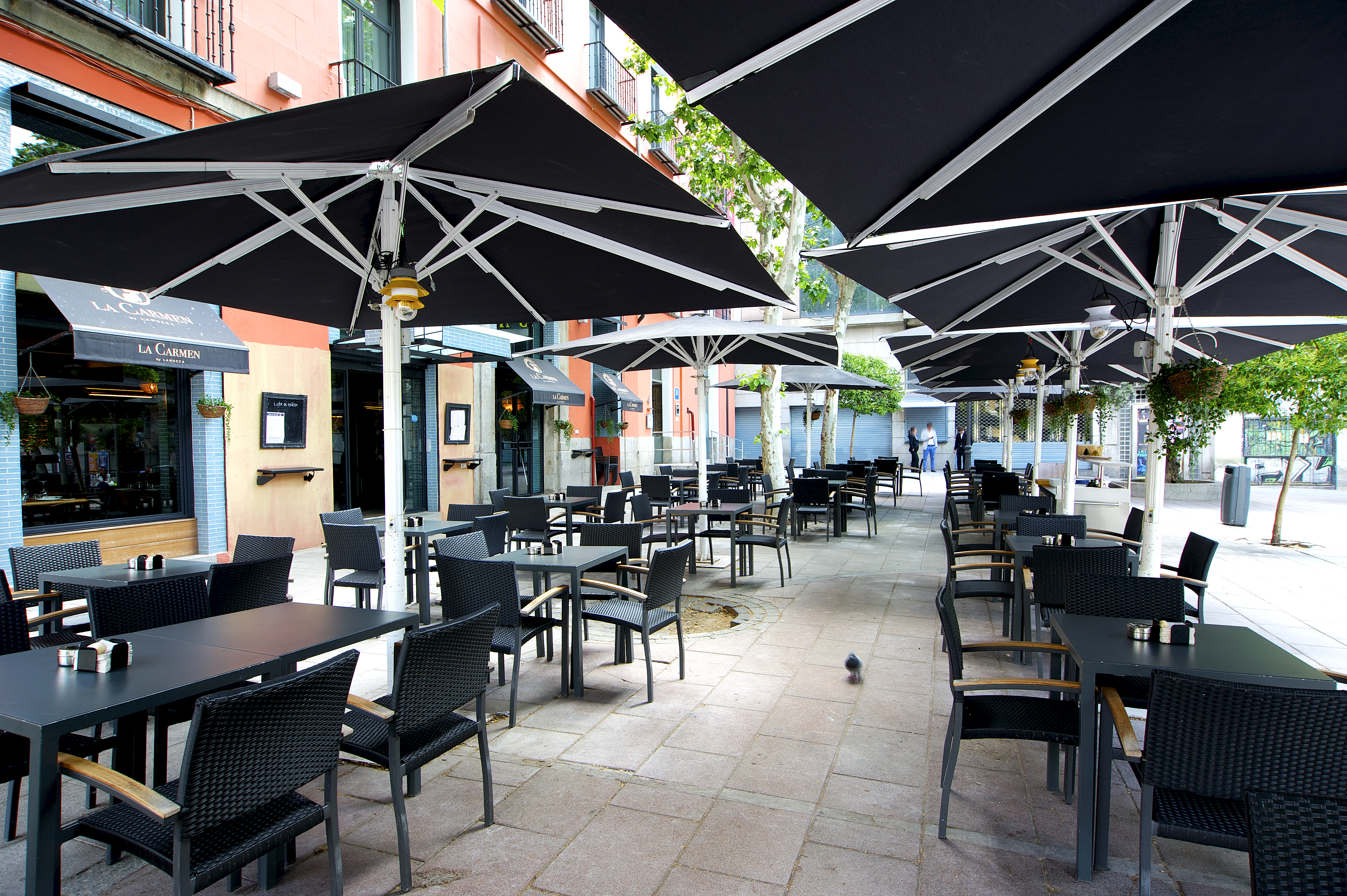 La Carmen - Saborea Madrid
