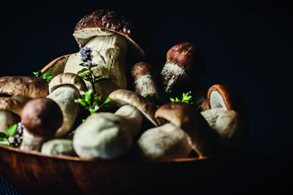 Descubre los mejores lugares para comer setas en Madrid