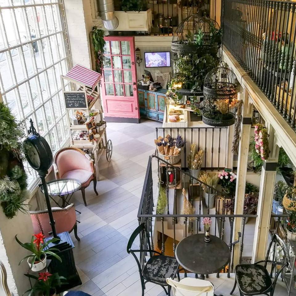 ¿CAFÉ Y LIKES? DESCUBRE LAS CAFETERÍAS QUE SON TENDENCIA EN LA CAPITAL - Saborea Madrid