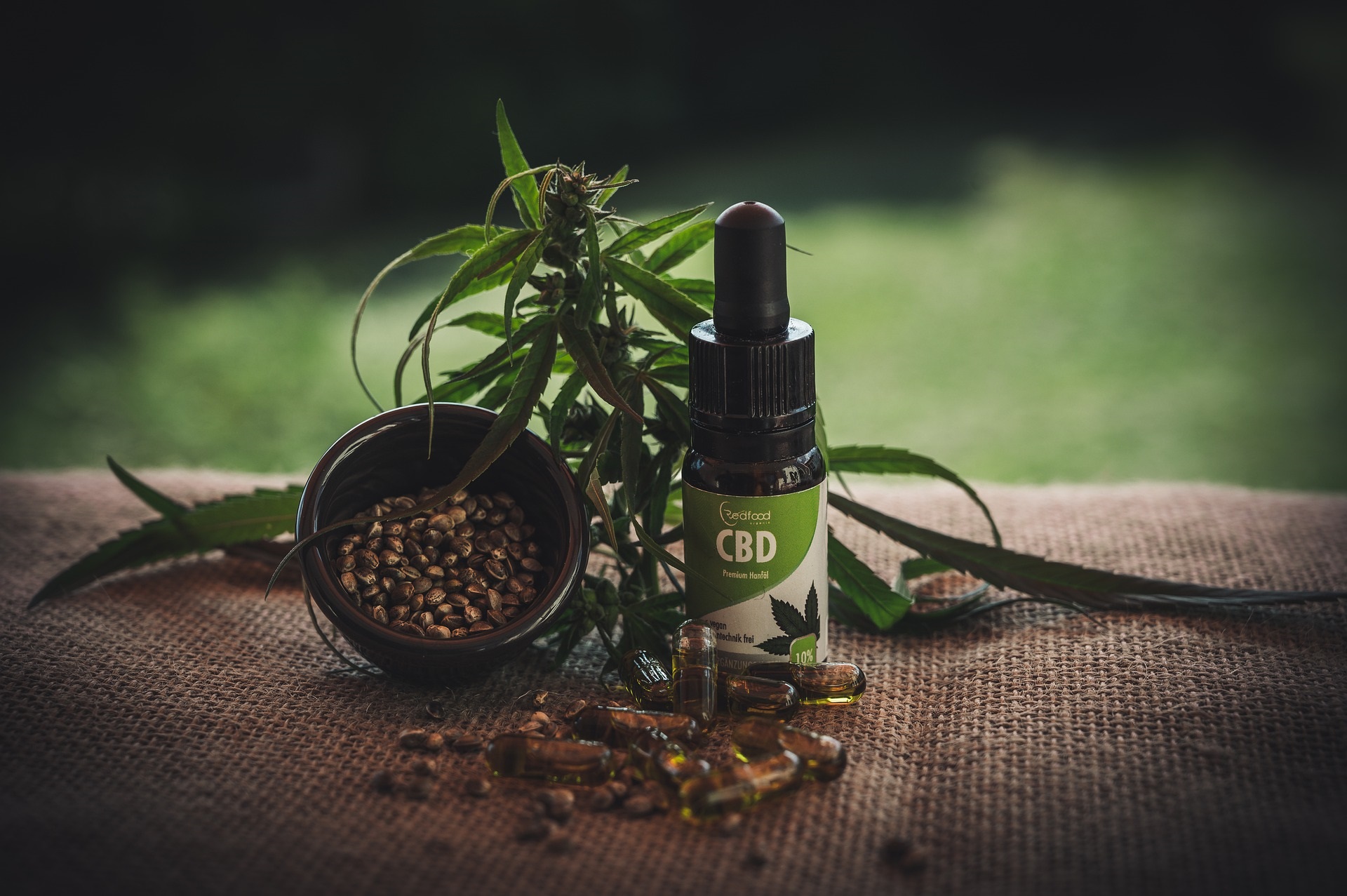 Productos a base de CBD se convierten en tendencia en Madrid - Saborea Madrid