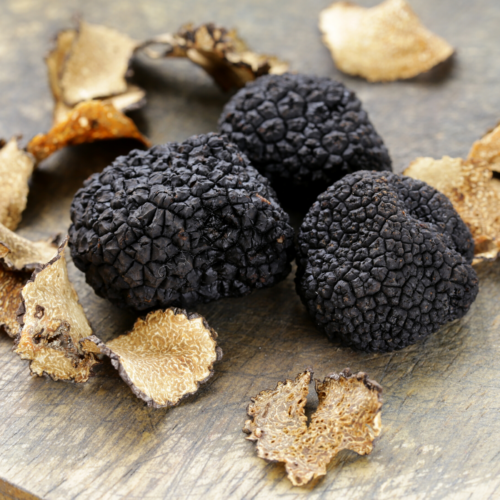 Trufa negra, el secreto mejor guardado del agro español