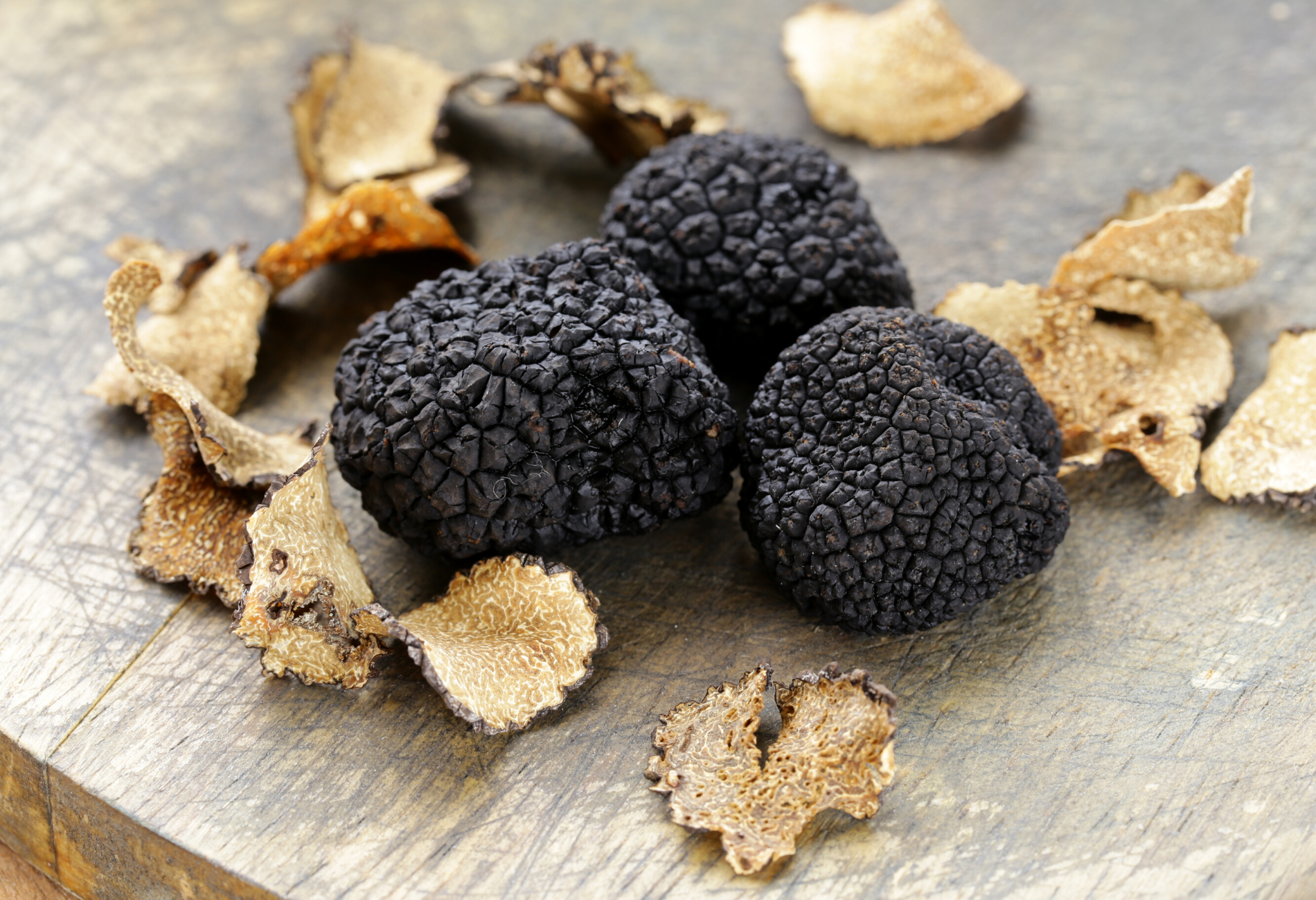 Trufa negra, el secreto mejor guardado del agro español - Saborea Madrid