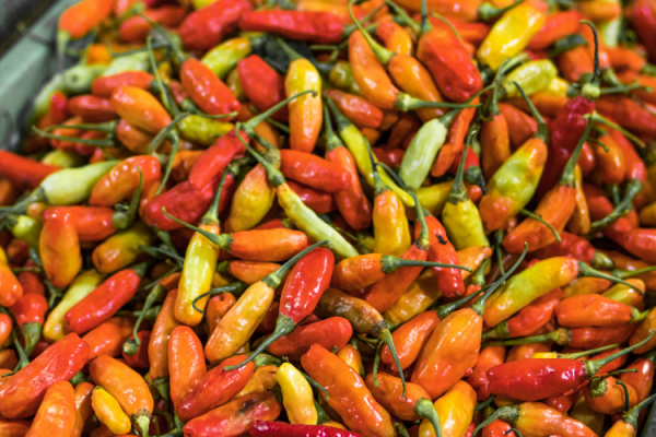 Picante en Madrid: Entra en calor con los mejores platos picantes