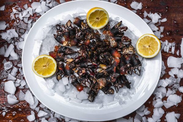 CASA PABLO CASA PABLO