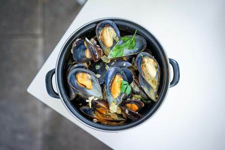 Charnela mejillones Madrid