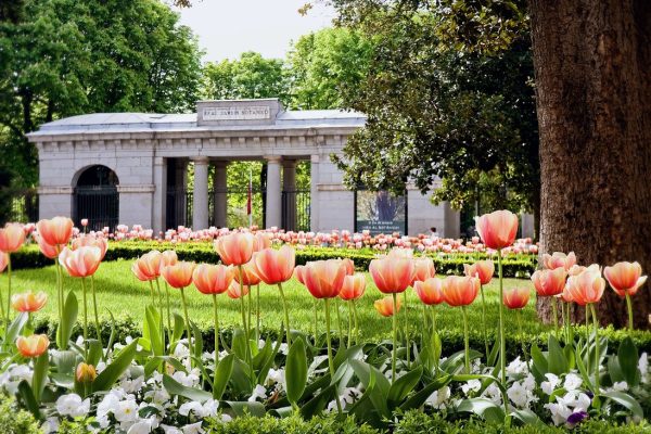 Parques donde ver la floración en Madrid y 14 sitios para comer cerca