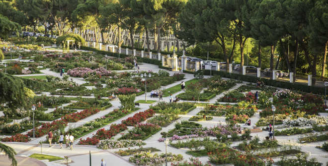 Rosaleda del parque del oeste Madrid