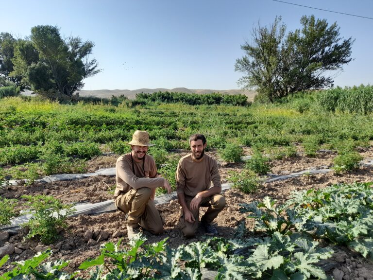 La huerta agroecológica Más Que Tierra