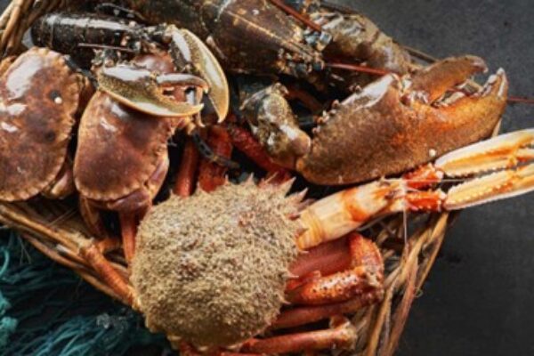 Guía definitiva de los mejores restaurantes asturianos y gallegos en Madrid