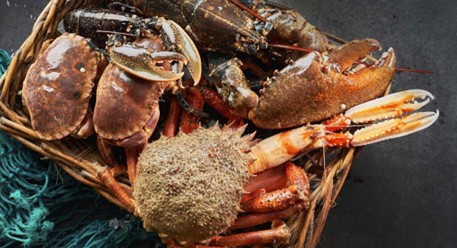 Guía definitiva de los mejores restaurantes asturianos y gallegos en Madrid - Saborea Madrid