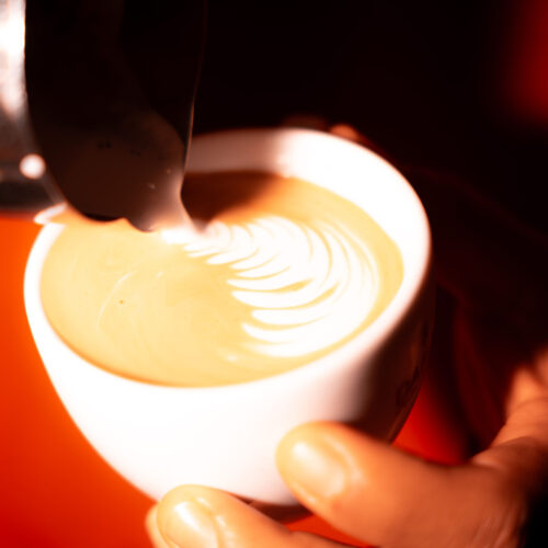 ALCHEMY SPECIALTY COFFEE & BRUNCH 3.0