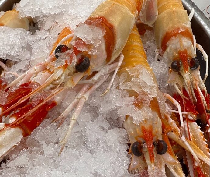 Bebida - Saborea Madrid