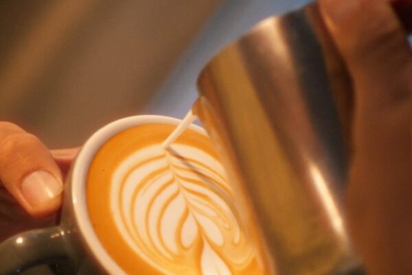 1000 CUPS SPECIALTY COFFEE