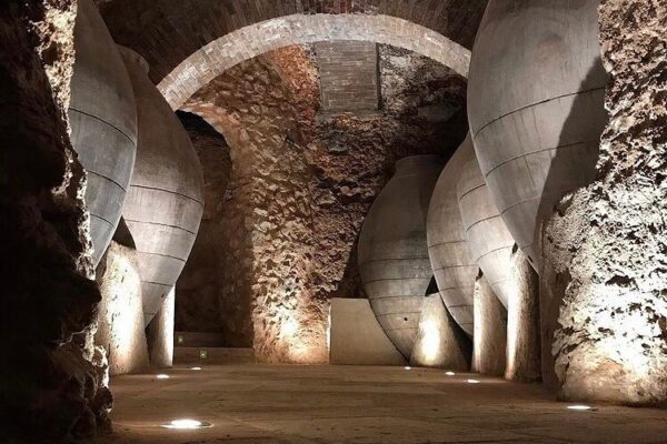 BODEGA PEDRO GARCÍA