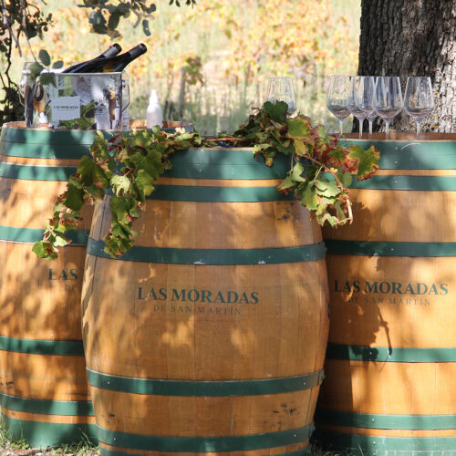 BODEGA LAS MORADAS DE SAN MARTÍN