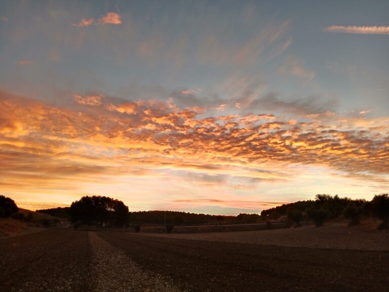 Gastronomia - Saborea Madrid