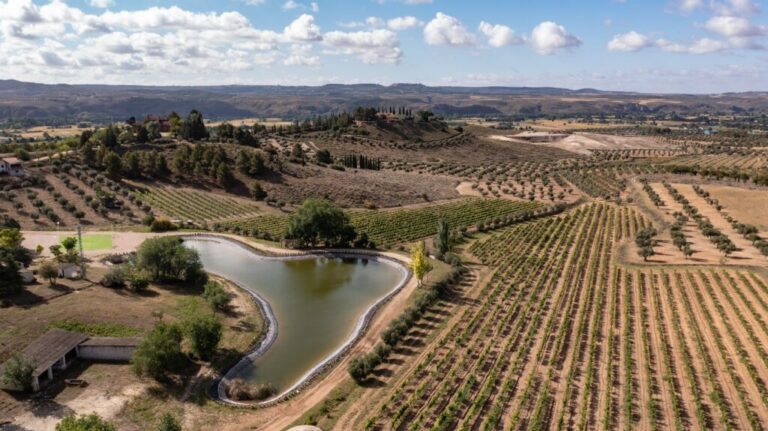 Gastronomia - Saborea Madrid