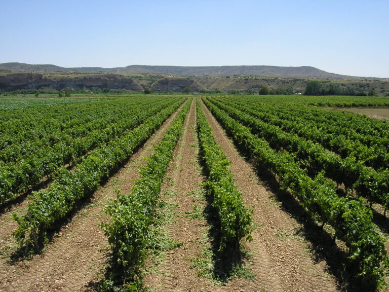 Gastronomia - Saborea Madrid