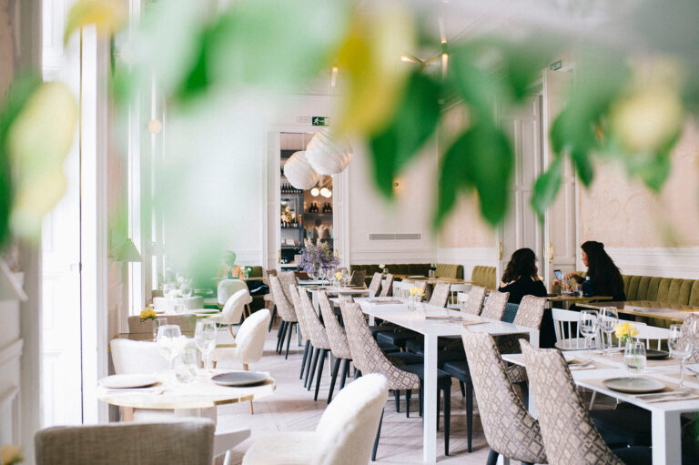 Gastronomia - Saborea Madrid