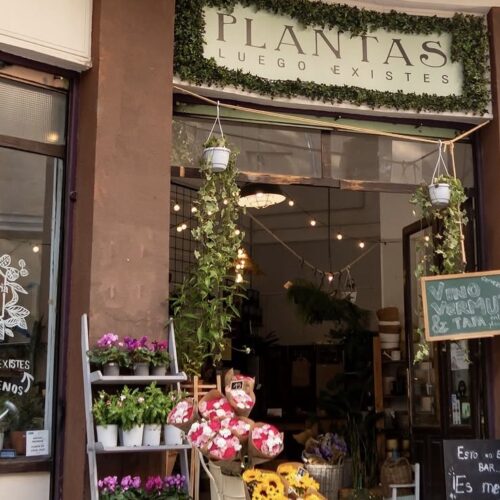 Plantas luego existes